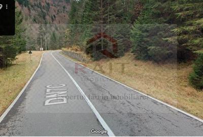 Teren extravilan de 500 mp, în Arefu - 4