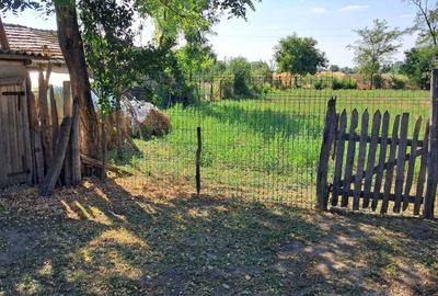 Casă cu 3 camere în Boboc - 6