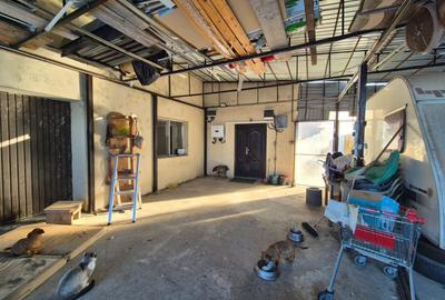 Casa Glina 223mp P+M an 2020, 967mp teren - 24