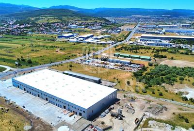 Teren Industrial - Zona Autostrazii A3 - Autorizatie de Construire - 1