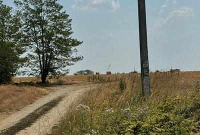 Teren de 400 mp, în Berceni