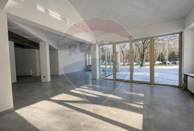 Spațiu comercial, de 428.08999633789 mp, în Central - 2