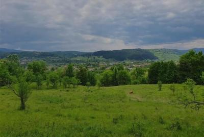 TEREN DE VANZARE PENTRU INVESTITII IN MANASTIREA CASIN TEREN DE VANZARE PENTRU INVESTITII IN MANASTIREA CASIN - 2