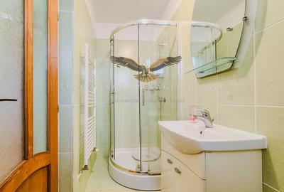 Apartament retras si spatios cu 3 camere situat in Cartierul Buna Ziua - 9