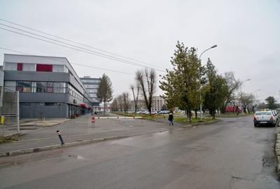 Electrotimiș, Calea Stan Vidrighin 5A - comision 0%, reprezentam proprietarul! - 5