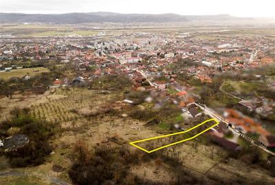 Teren intravilan de 2291 mp, în Nord-Vest - 4