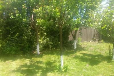 Casa cu gradina de 1000mp, in Stupini Casa cu gradina de 1000mp, in Stupini - 4