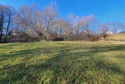 Teren rezidential zona Bran Predelut zona de case si pensiuni - 3