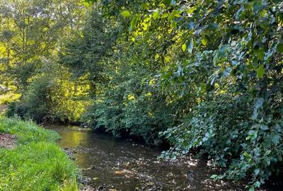 Vand cabana casa locuit Marisel - 2