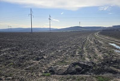 Spațiu comercial, în Central - 5