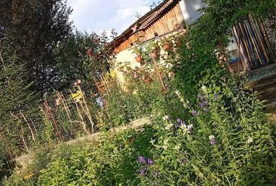 Casă cu 4 camere cu Teren 61 Mp în Central - 2