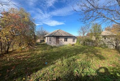 Vand casa in Berbesti. - 7