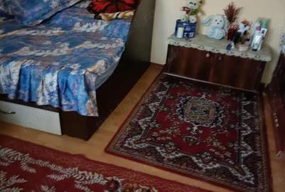 Casă cu 4 camere în Radu Negru