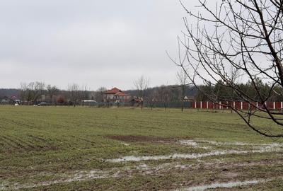 Teren Construcții intravilan de 1127 mp, în Snagov - 4