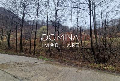 Teren Construcții intravilan de 4416 mp, în Peștișani - 2