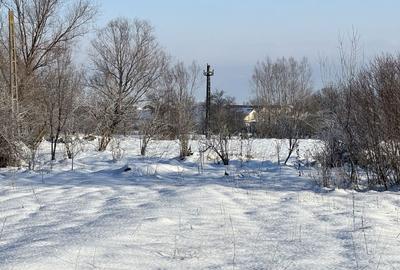 Spațiu comercial, în Nucșoara - 7