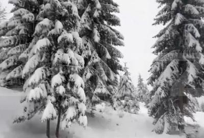 Teren 10,75 ari, intravilan Colibita, cu utilitati - 3