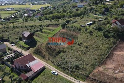 Oportunitate de Investiție: Teren Intravilan Construibil în Zona Mices - 4