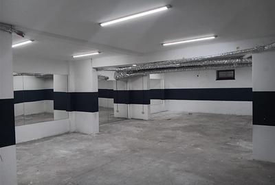 Spațiu comercial, de 403 mp, în Serele Vișoianu - 9