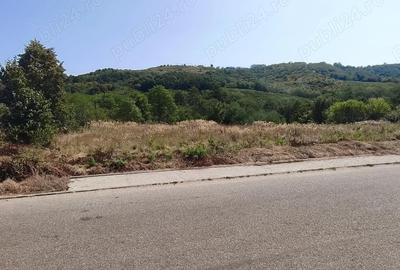 Teren de 3750 mp, în Verdea - 3