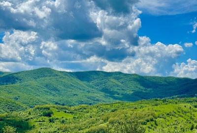 Terenuri extravilane Cozieni, jud. Buzau 70000mp - 11