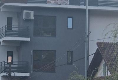 Ramnicu Valcea, Stirbei Voda, Raul Olanesti - 1