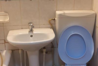 Apartament cu 2 camere decomandat în Gorjului - 5