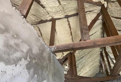 Casa de vanzare in sat  Botarlau , parter si mansarda cu suprafata de 242 mp , t - 8