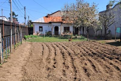 Casă cu 3 camere în Central - 1