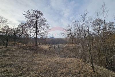 Teren Plaiu_Provita de Sus- intravilan 5373 mp_deschidere... - 12