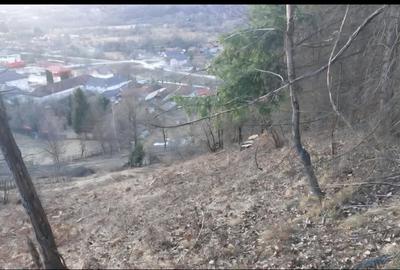 Teren Construcții intravilan de 4300 mp, în Bughea de Sus - 3