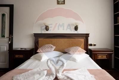 Hotel/pensiune 21 camere vanzare in Prahova, Sinaia, Ultracentral - 11