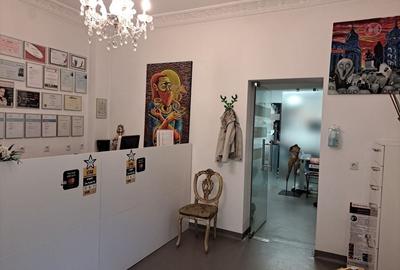 SPATIU PENTRU BIROURI, REZIDENTA SAU CLINICA CISMIGIU - 11