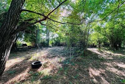 Teren intravilan 1500mp in Livedea, Ialomita - 6