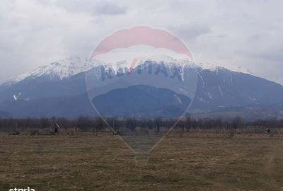 Spațiu comercial, în Pănicel - 4