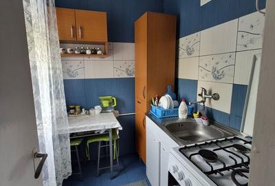 Apartament cu 2 camere semidecomandat în Valea Rosie - 2