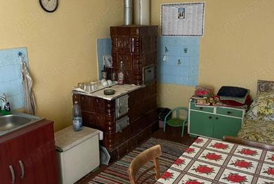 Casă cu 4 camere cu Teren 1234 Mp în Lugoj - 8