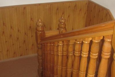 Duplex cu 4 camere cu Teren 305 Mp în Central - 3