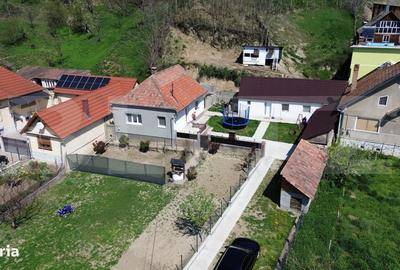 Casă cu 3 camere în Valea Vințului - 11