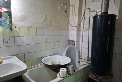 Casă individuală cu 2 camere cu Canalizare în Cișmigiu - 11