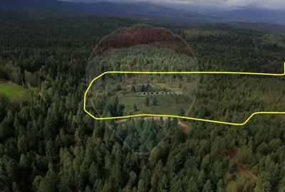 Teren extravilan parcelabil Calatele Padure, zona Dealu Negru - 11