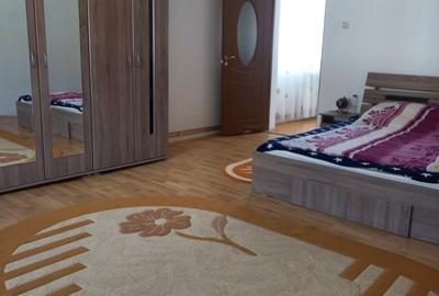 Casă cu 2 camere în Fiziș - 13