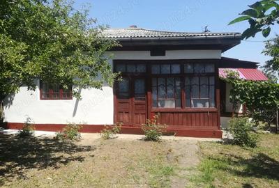 Casă cu Teren 900 Mp în Costești - 5