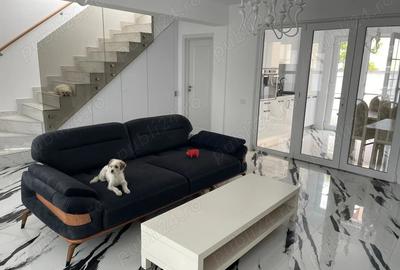 Casa de vanzare Ovidiu Sud - 4