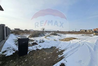 Teren Construcții intravilan de 621 mp, în Domnești - 7