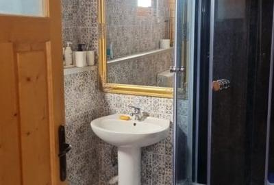 Proprietate specială, de 84 mp, în Dumbrăvița - 7