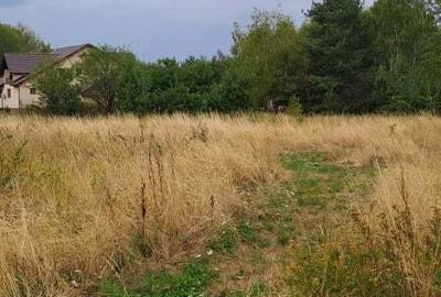 Teren de 4138 mp, în Lintești - 2