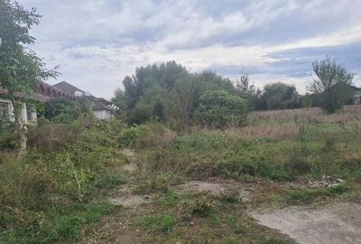 Spațiu comercial, în Băcia - 5