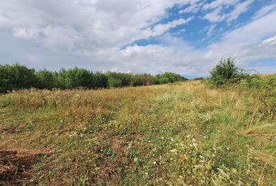Oportunitate! Teren intravilan de vanzare, 2000 mp., Tureni - 5