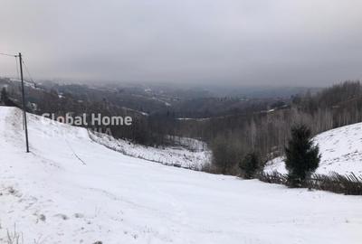 Teren 725 MP | Moieciu de Jos | Piatra Craiului | Oportunitate de investitie | - 4